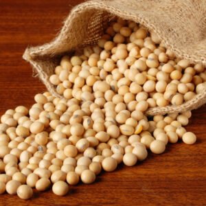 Soybeans - Annapushti Enterprise Private Limited
