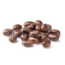 Castor Seeds
