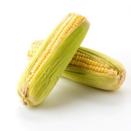 Maize (Corn)