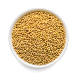 Mustard Seeds ( Yellow)