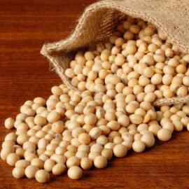 Soybean Seeds