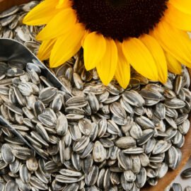Sunflower Seeds